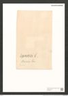 Pleurosigma var. peisonis Grun. (de-Toni-Nr.: Genus 13, Species 1076) Zeichnungen Sammlung Grunow (NHMW-BOT-W0369120)